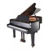Steinhoven SG148 Polished Ebony Baby Grand Piano All Inclusive Package
